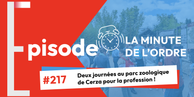MDO 217 – Retour sur l&rsquo;accueil des nouveaux inscrits et la journée annuelle du stage !